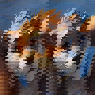 ilberd's Avatar