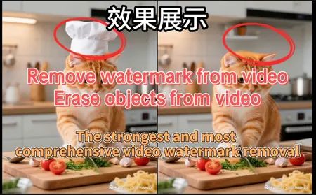 Comprehensive Video Watermark Removal - minimax Version, Video Erasure, Online Supported超全视频去水印-minimax版本 视频抹除 支持在线