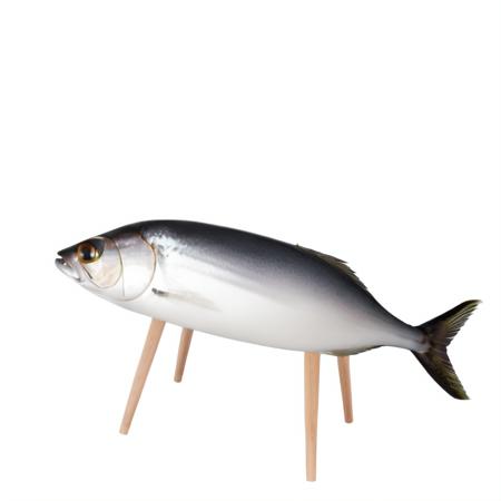 <lora:shoryo_uma_v3:0.7>, fish, white background, (shoryo_uma:1.2)