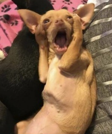 iamahappydog5777's Avatar