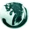Catz's Avatar