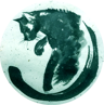 Catz