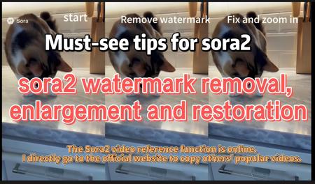 sora2 Watermark Removal + Repair v1.0