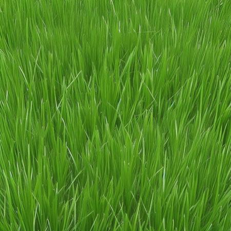 <lyco:grass_texture_Sa_May:1.0> grass texture