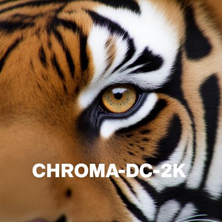 Chroma-Flash-Heun-pruned Rank 56