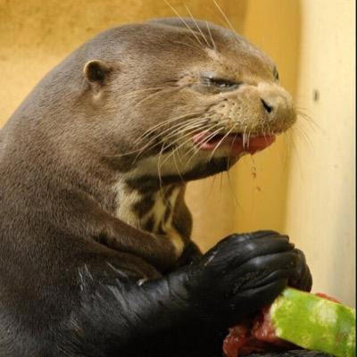 Kvnman's Avatar