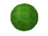 nnicces's Avatar