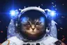 astrocat2077's Avatar