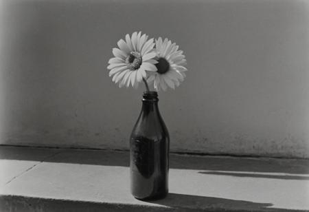 KB_ektachrome_BW KB_ektachrome_BW