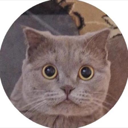 nulllish's Avatar
