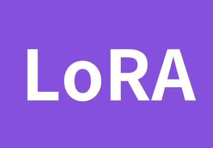 Custom Lora at Your request