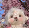 Akar47's Avatar