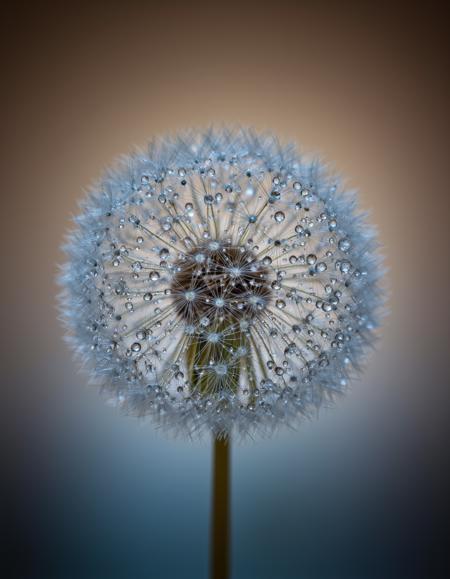 Bokeh&Macro v1.0