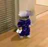 FluffyBat's Avatar