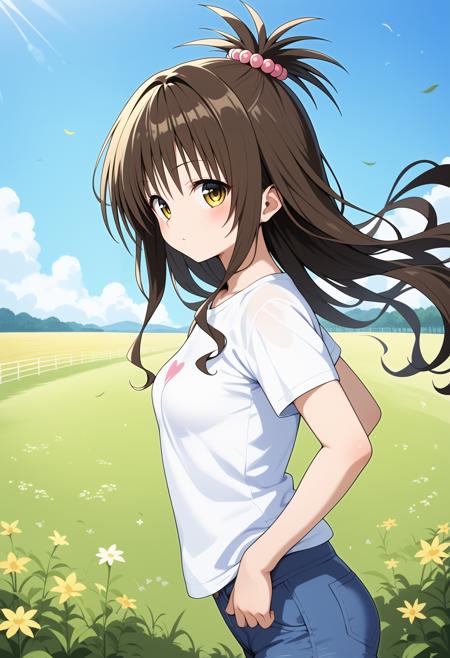 aamikan, solo, long hair, brown hair, topknot, hair bobbles, yellow eyes, small breasts