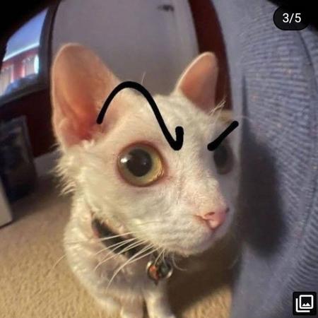 QuarKot's Avatar