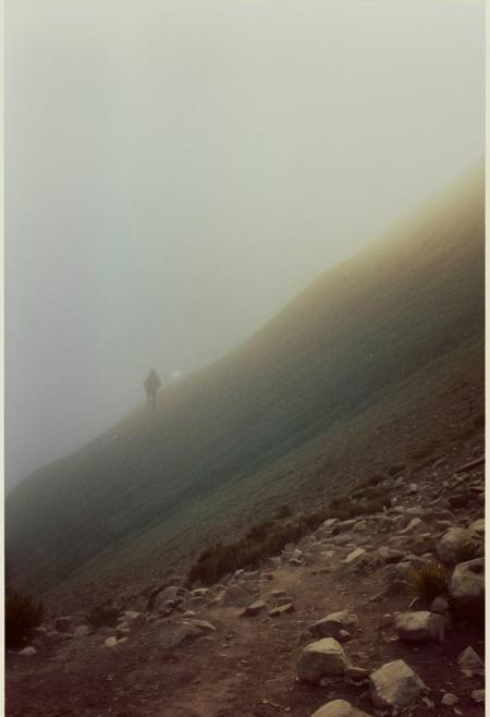 soaked_brand_pee, instagram photo, a foggy mountain, hard shadows, film grain