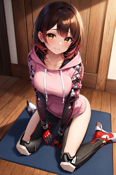 (masterpiece, best quality:1.2), solo, 1girl, roboco1st, android, mechanical arms, smile, looking at viewer, all fours, pink hoodie, gloves, mechanical legs <lora:hololive_roboco-san-10:1>