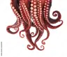 tentaclesrule's Avatar