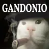 Bzkntt's Avatar