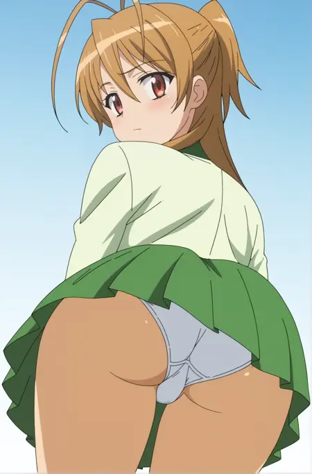 Highschool of the Dead | Rei Miyamoto (PDXL)