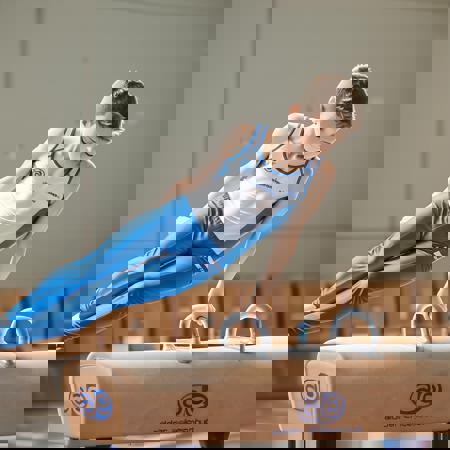 gymnastics Pommel_horse boys v1.0
