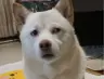 r34q0r9u4oq3i's Avatar