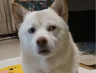 r34q0r9u4oq3i