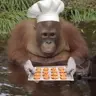 menkiga's Avatar