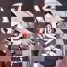 AnimsAIUniverse