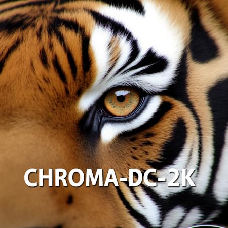 Chroma-Flash-Heun-pruned Rank 40