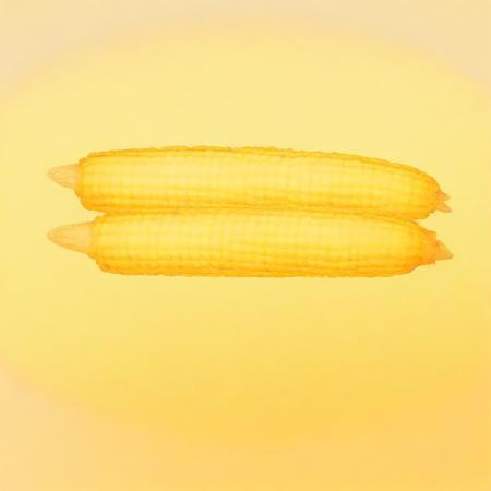 Maize Lingham V2
