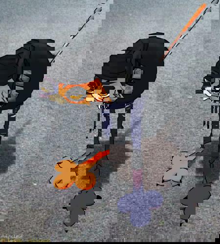 PyraFox's Avatar
