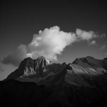 Achromatic “greys” or “neutral colors” style F1D + XL