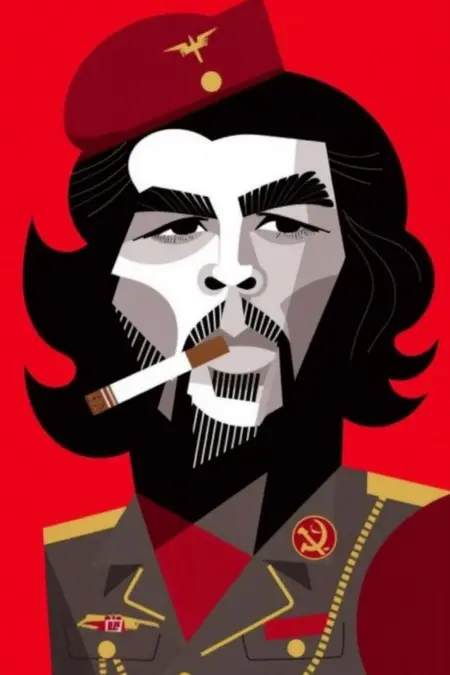 Flat Color Minimalist Geometric Caricature Style