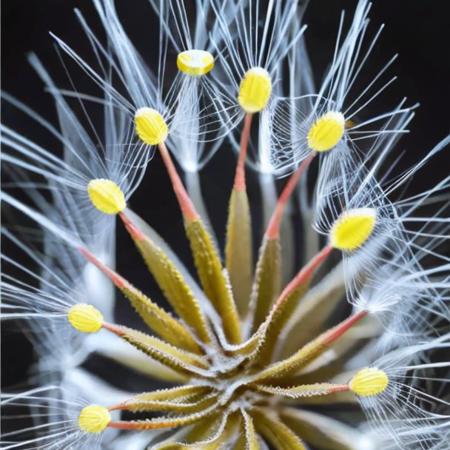 Microcosm V0.1