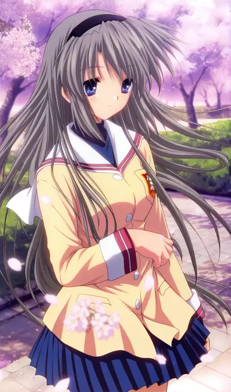 Sakagami tomoyo 坂上智代（CLANNAD Anime.ver）