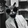 zilbauer's Avatar