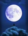 Ching1029438's Avatar