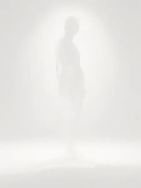 SDXL - Faint Silhouette (White-Out)