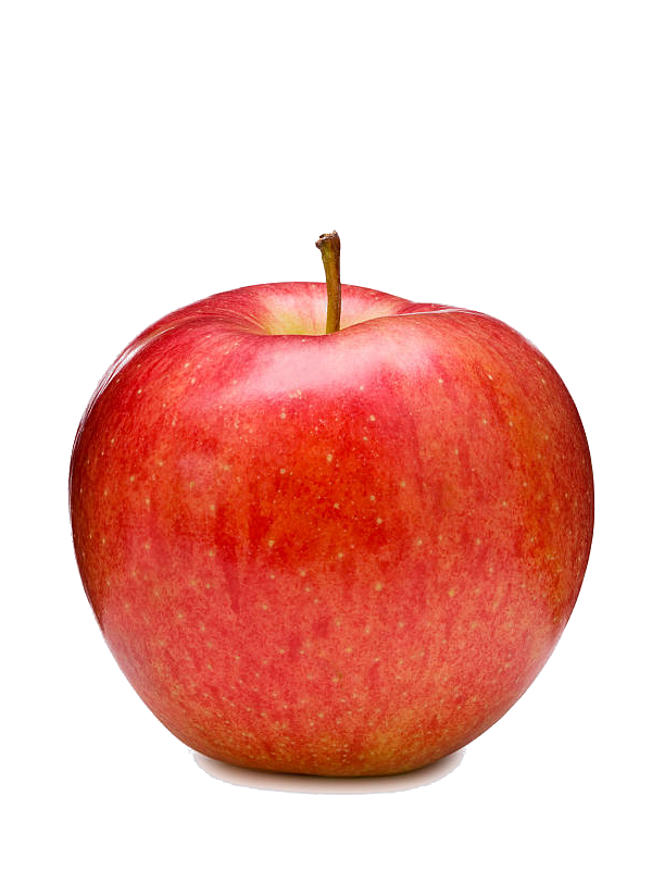 Guide to Training and AI (Written with 4k working hours)
