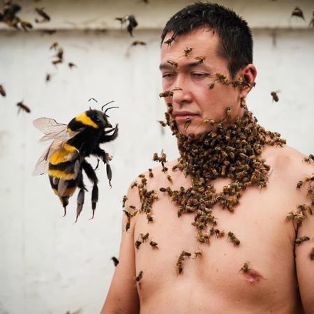 man with bee  <lora:SDXL_bee_Sa_May_V11:1>