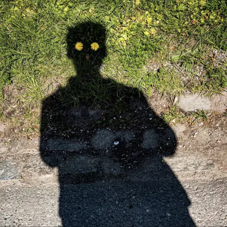 Y5targazer's Avatar