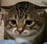 nnna's Avatar