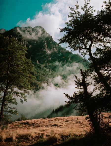 lml, film grain, mountain, forest, fog  <lora:LOMO LC-A MINITAR:0.9>