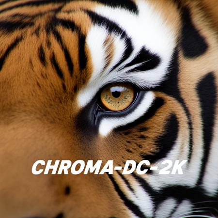 Chroma-Flash-Heun-pruned Rank 48