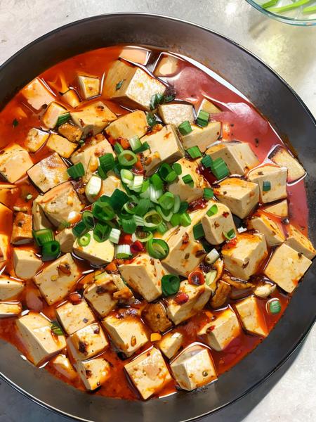 mapo tofu, <lora:mapo tofu:1>, masterpiece, best quality,