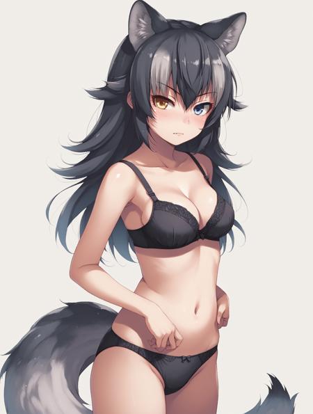 grey wolf \(kemono friends\) heterochromia