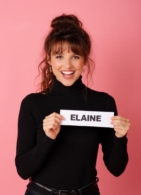Elaine Benes / Julia Louis-Dreyfus - FLUX v2.0