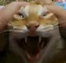 Sombric's Avatar